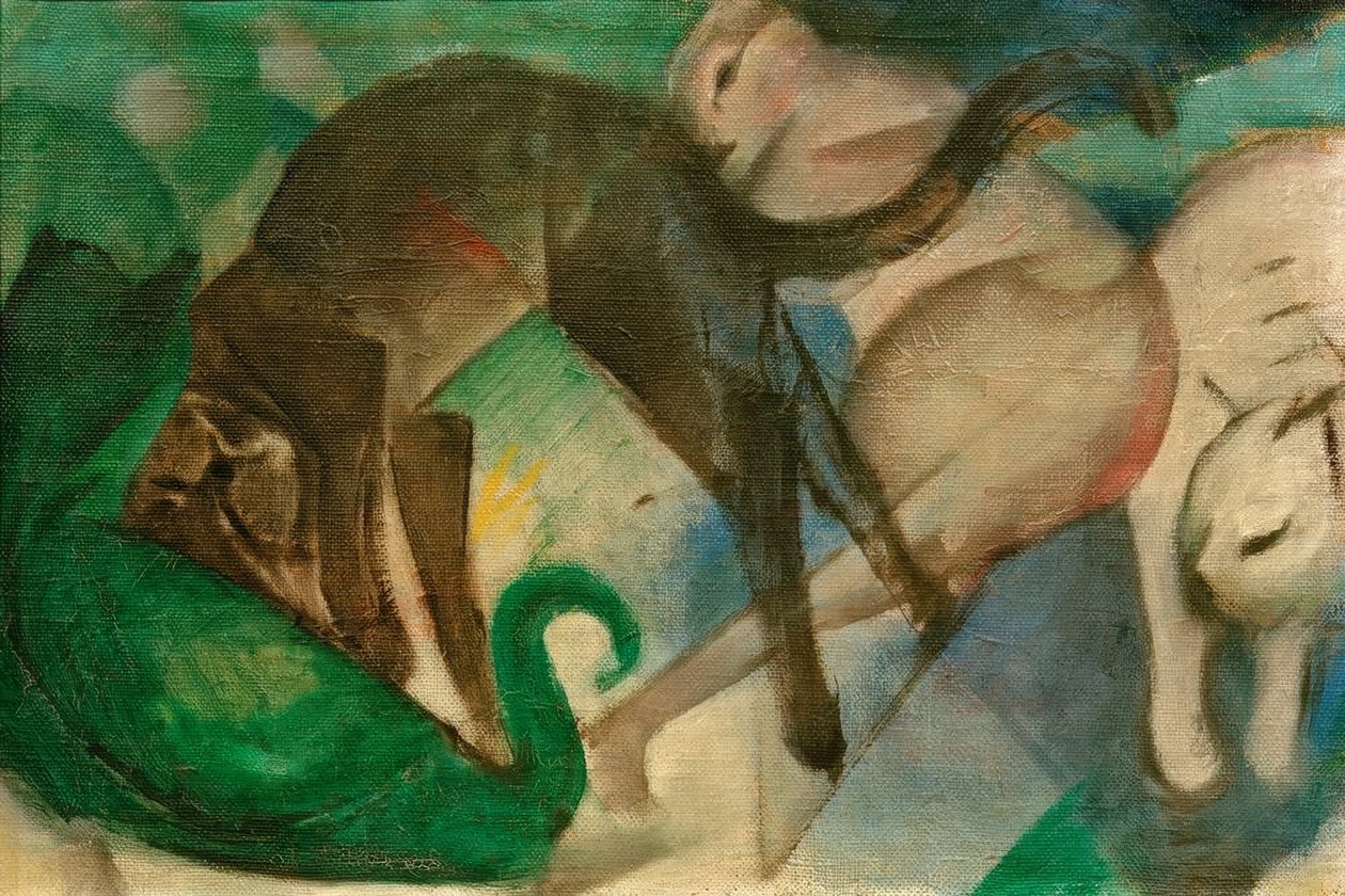 Hrající si kočky (obrázek kočky) od Franz Marc