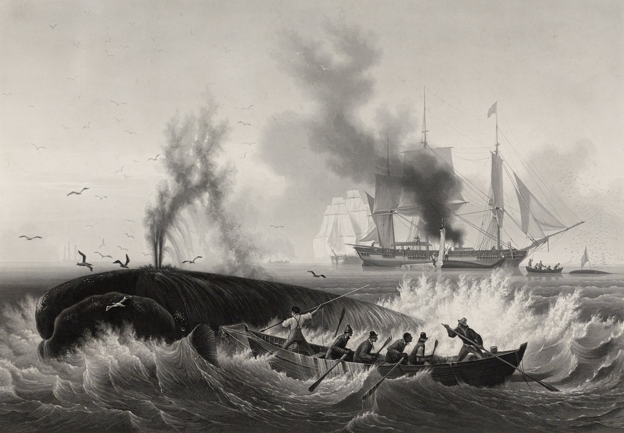 Pêche de la Baleine, 1834-35 (akvatinta a rytina s leptem na papíře) od Frederic Martens