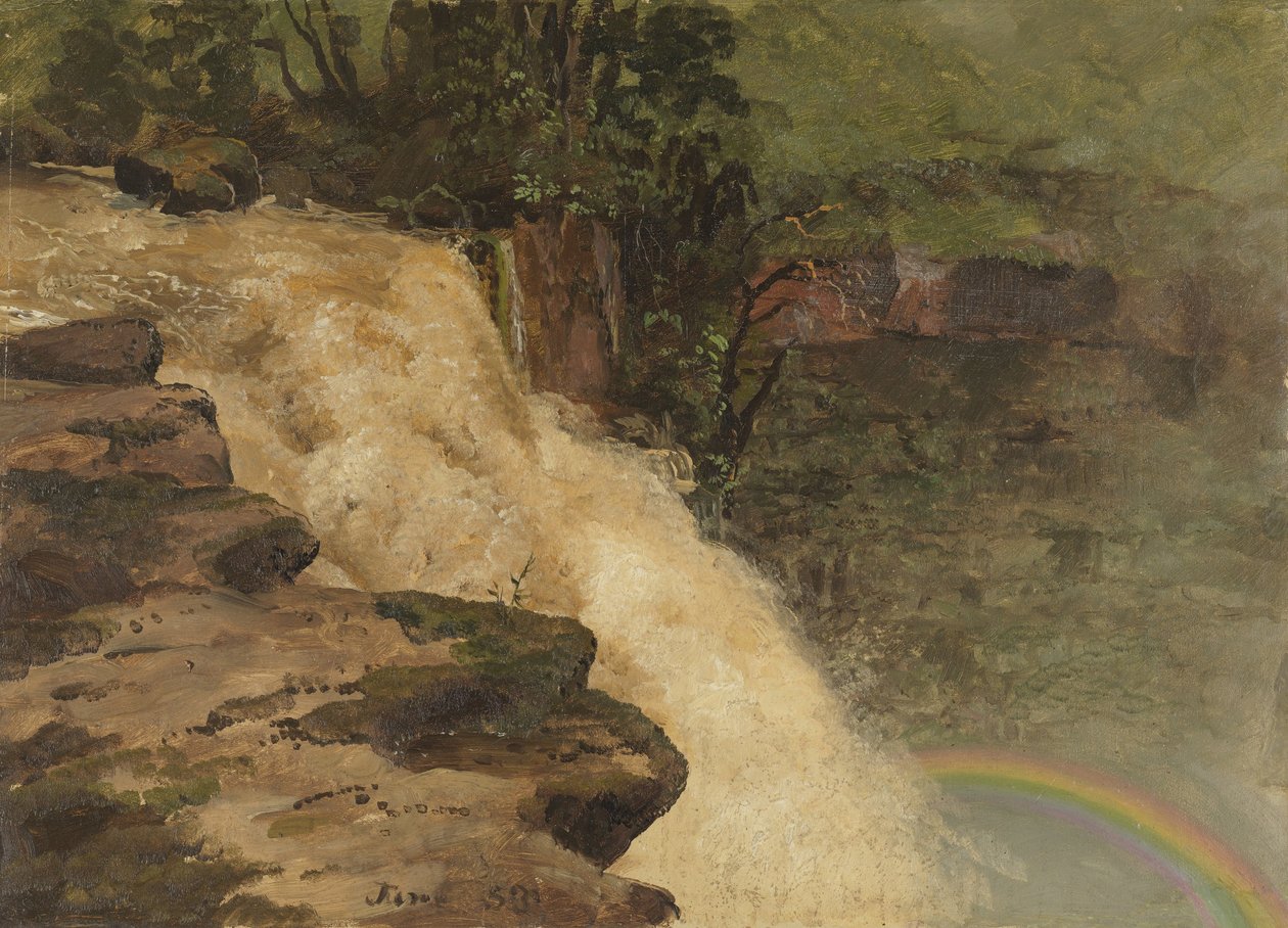 Vodopád v Kolumbii od Frederic Edwin Church