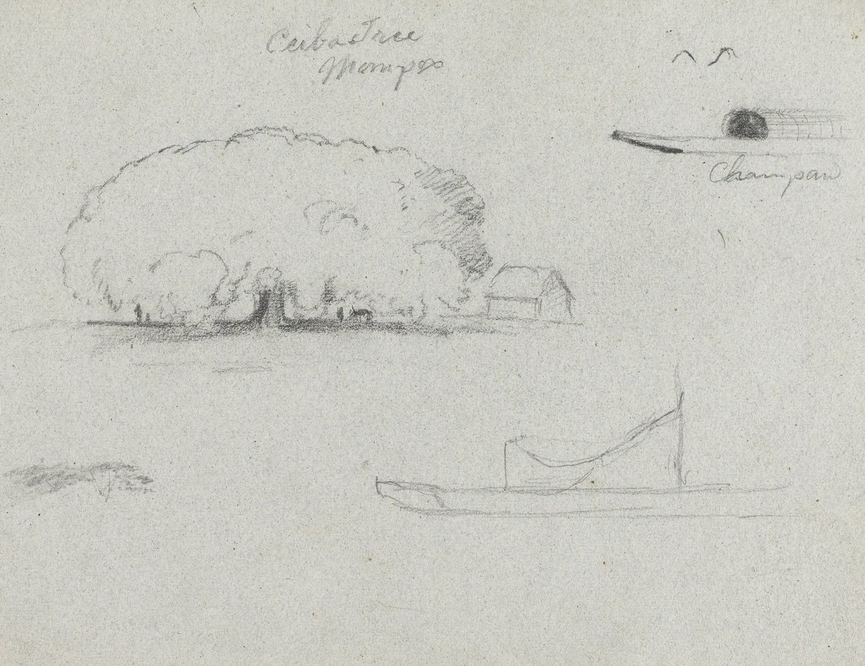 Ceiba Tree at Mompox, Chapman Canoe, Trees, and a Partial Boat, Rio Magdalena, Colombia od Frederic Edwin Church