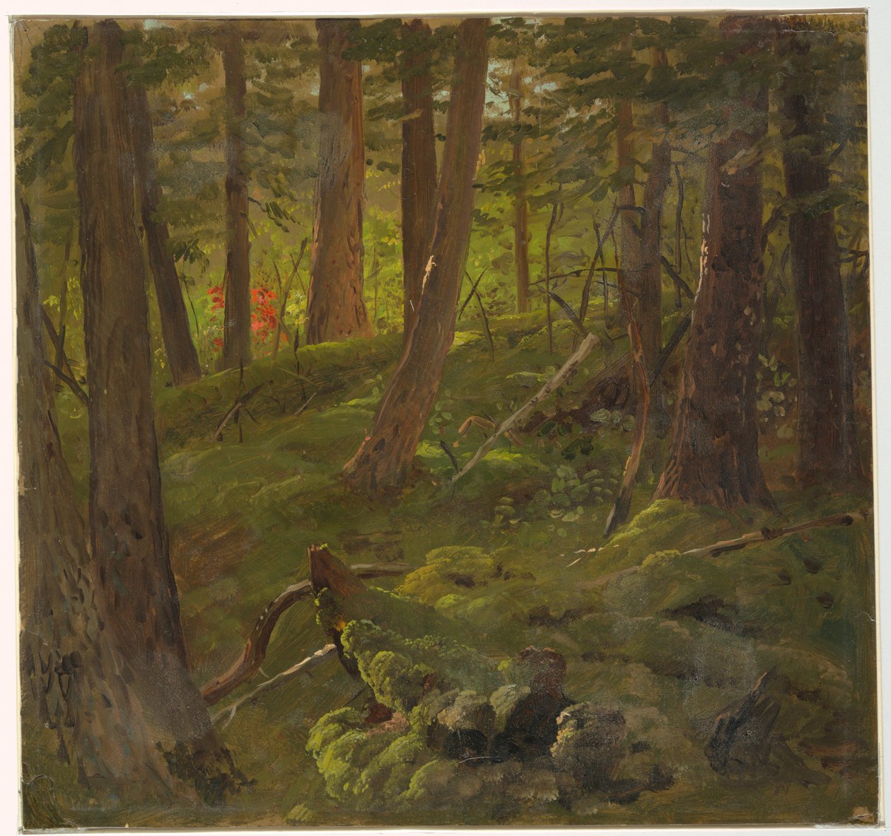 Kresba, vegetace džungle, 1865 od Frederic Edwin Church