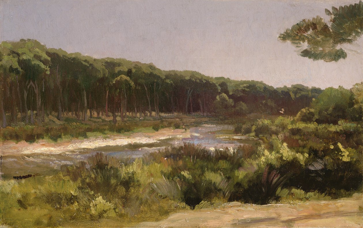 Toskánská krajina (řeka Arno v San Rossore) od Frederic Leighton