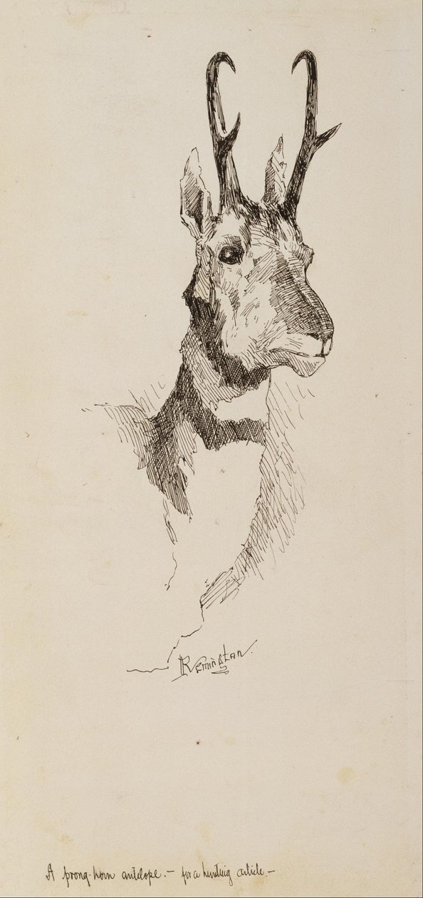 Antilopa pronghorn od Frederic Remington