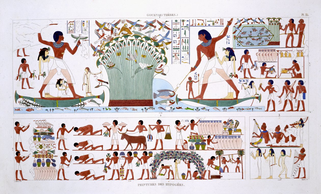Příprava jídla pro mrtvé, ze vzácného záznamu fresek z Théb, zaznamenaného v letech 1819–1822 při jeho druhé návštěvě Egypta Fredericem Cailliaudem (1787–1869), barva litho od Frederic (after) Cailliaud