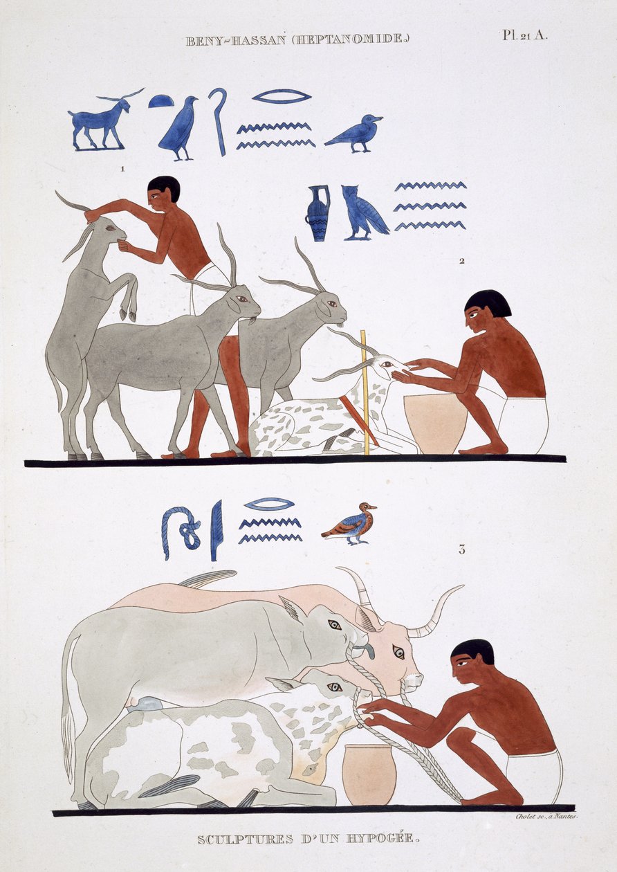 Veterinární práce, ze vzácného záznamu fresek z Théb, zaznamenané 1819-1822 při jeho druhé návštěvě Egypta Fredericem Cailliaudem (1787-1869), barevná lito od Frederic (after) Cailliaud