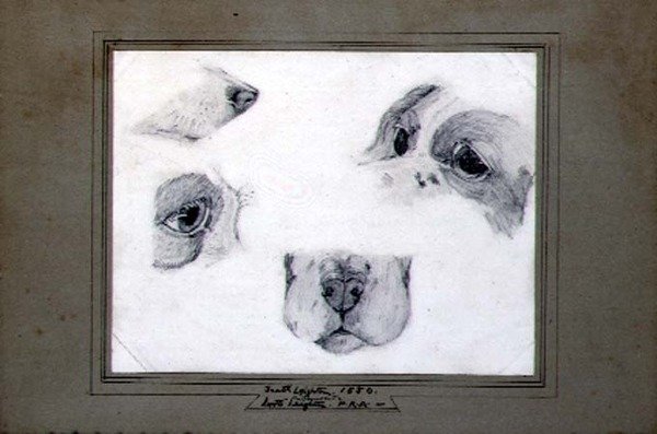 Studie umělcova psa od Frederic (attr. to) Leighton