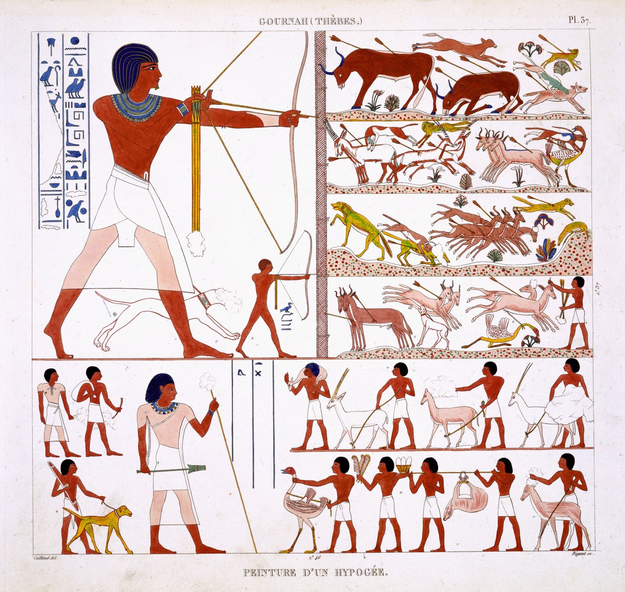 Lovecké scény, ze vzácného záznamu fresek z Théb, zaznamenané v letech 1819-1822 při jeho druhé návštěvě Egypta Fredericem Cailliaudem (1787-1869), barevná lito od Frederic Cailliaud