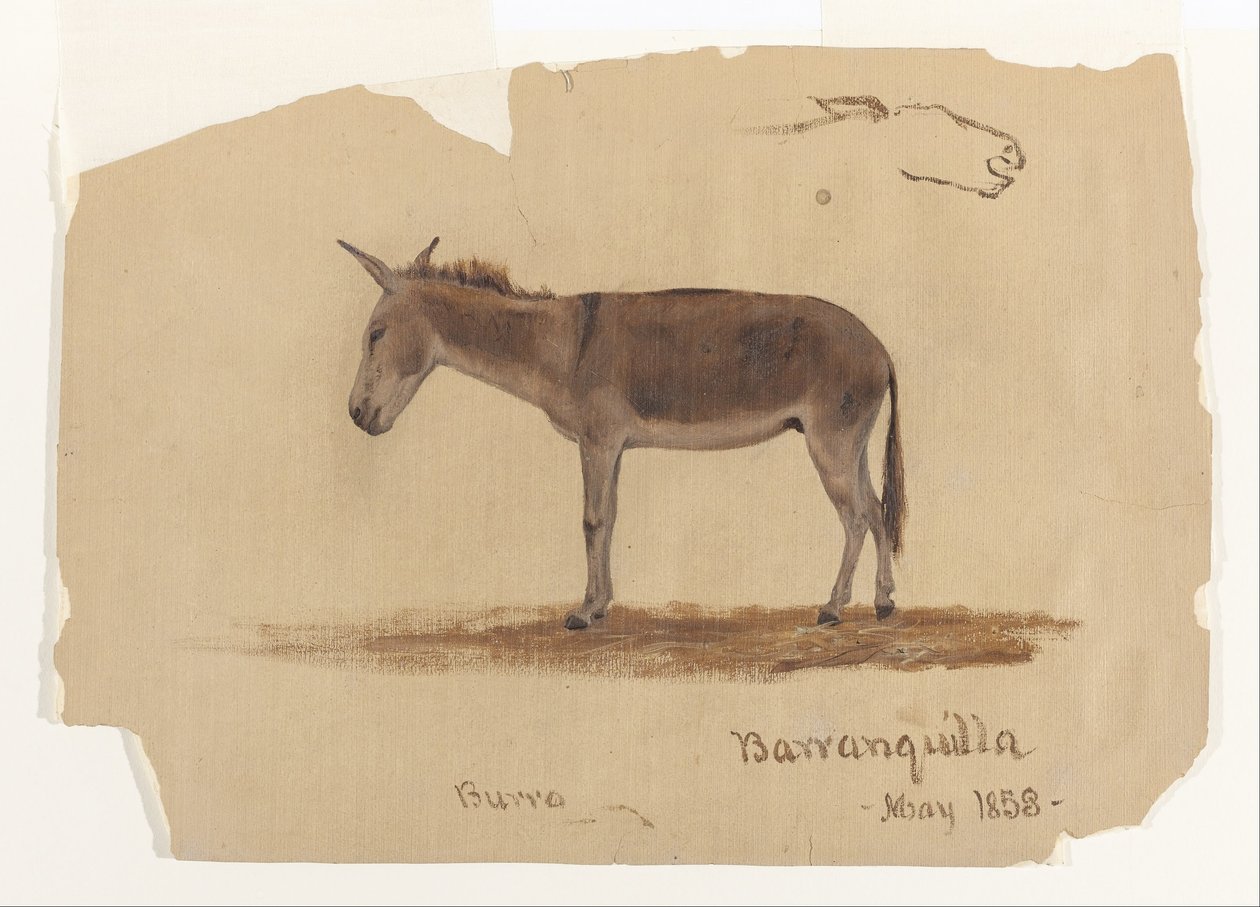 Osel, Baranquilla, Kolumbie od Frederic Edwin Church