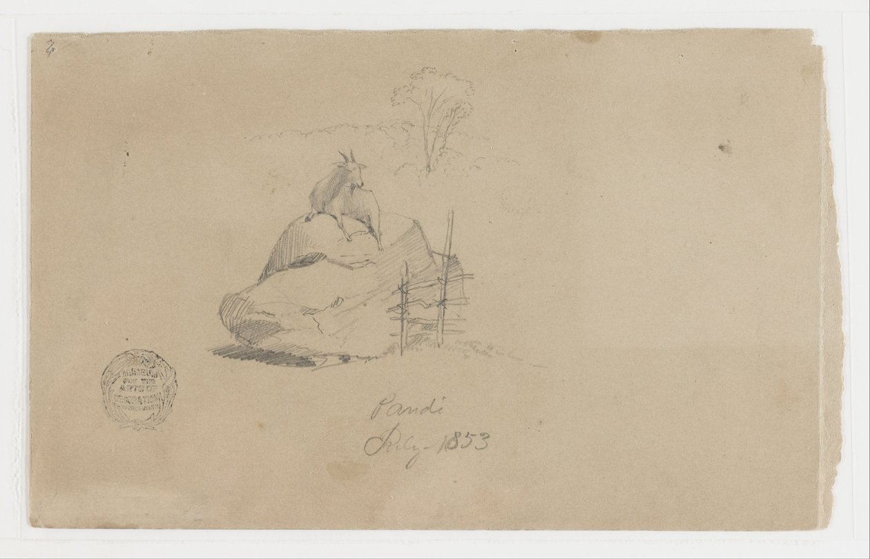 Koza v Pandi, Kolumbie od Frederic Edwin Church