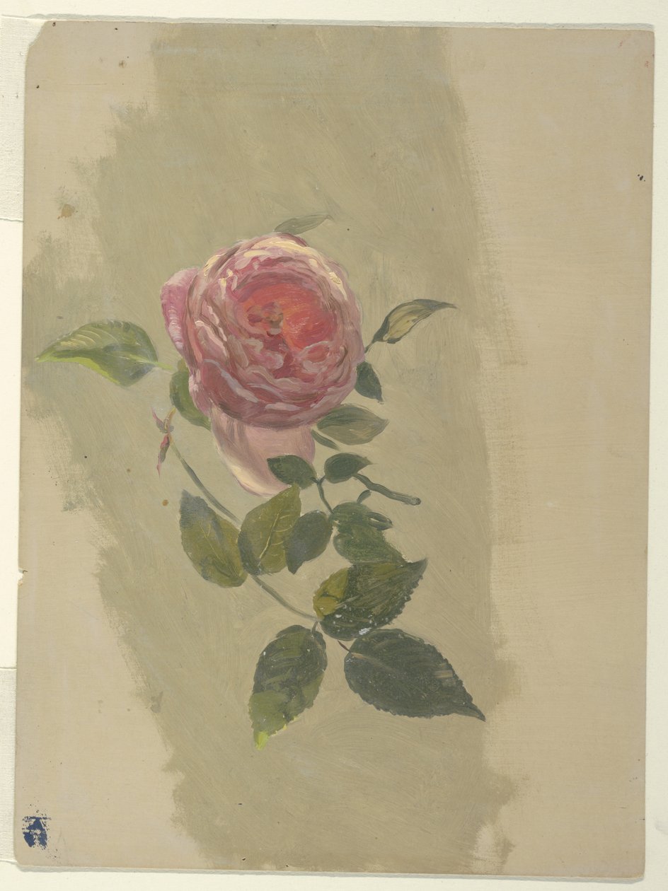 Růžová ratolest od Frederic Edwin Church