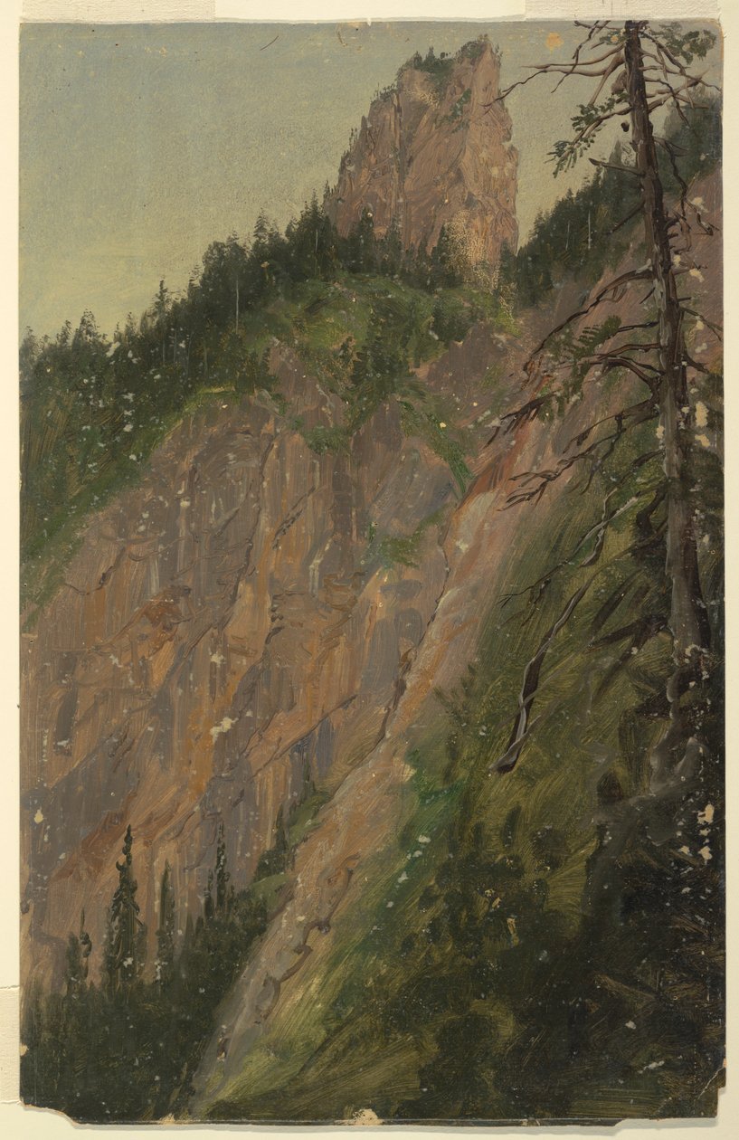 Alpská krajina, Bavorsko nebo Švýcarsko od Frederic Edwin Church
