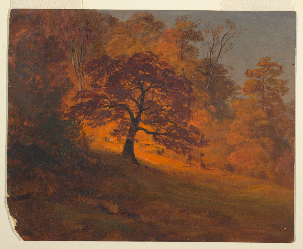 Podzimní Listí od Frederic Edwin Church