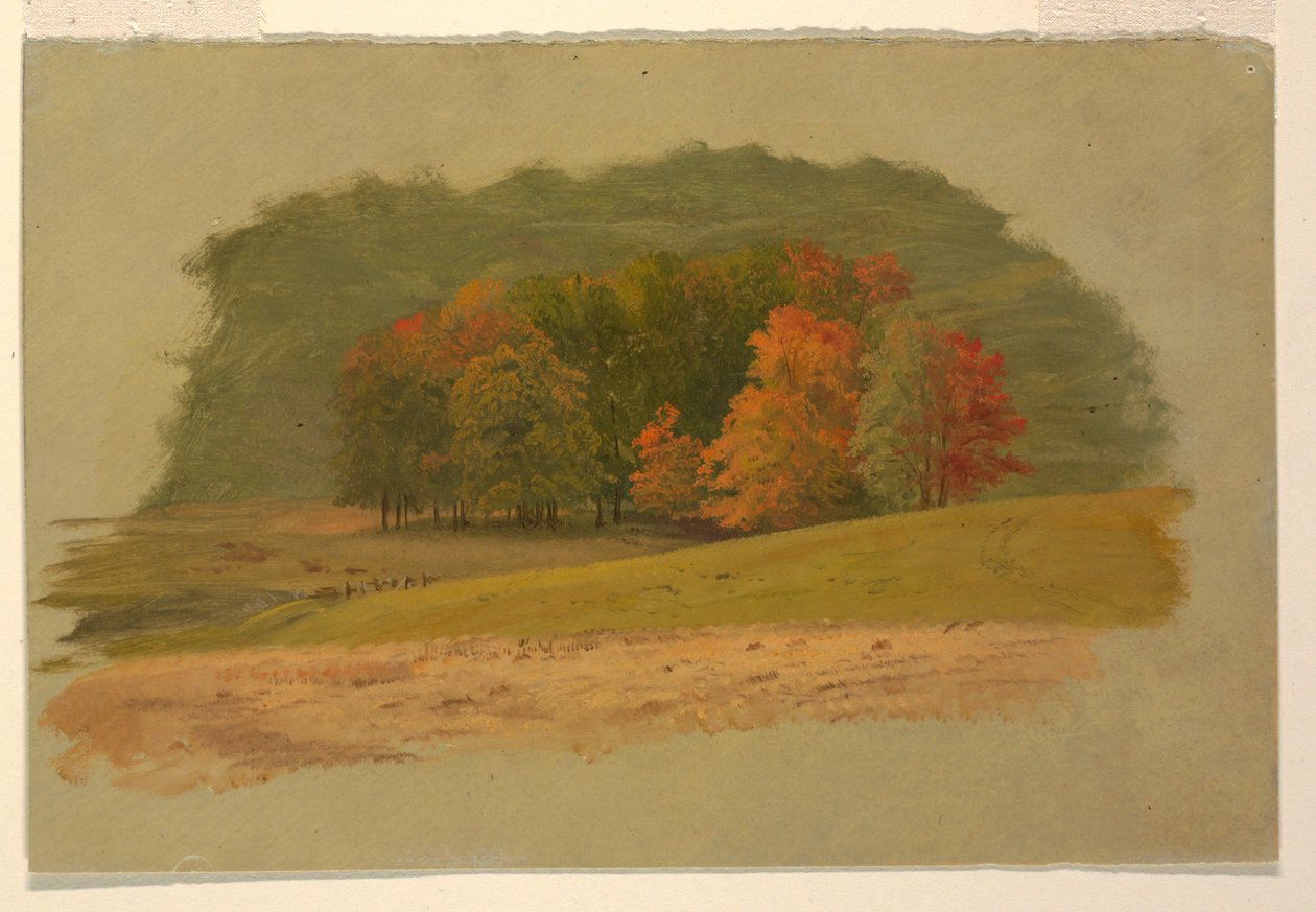 Podzimní Krajina od Frederic Edwin Church