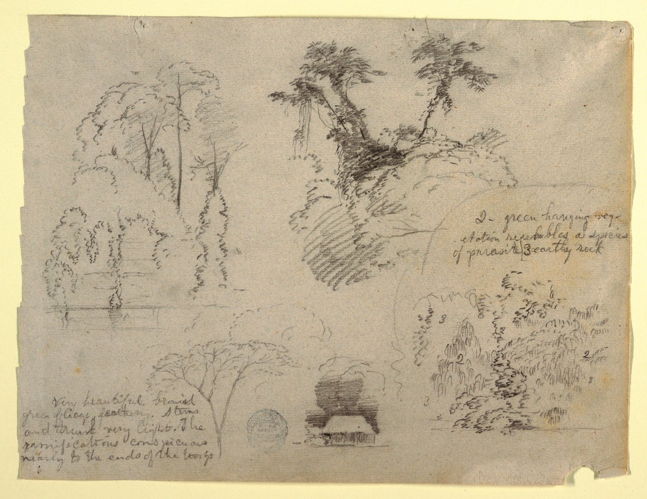 Botanická studia a dům, pravděpodobně z Kolumbie od Frederic Edwin Church