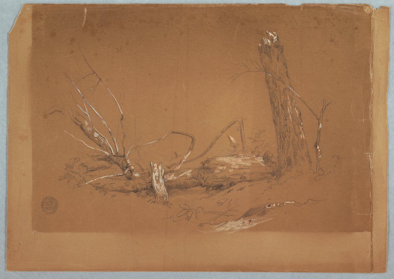 Kresba, Zlomený mrtvý strom, 1855-65 od Frederic Edwin Church