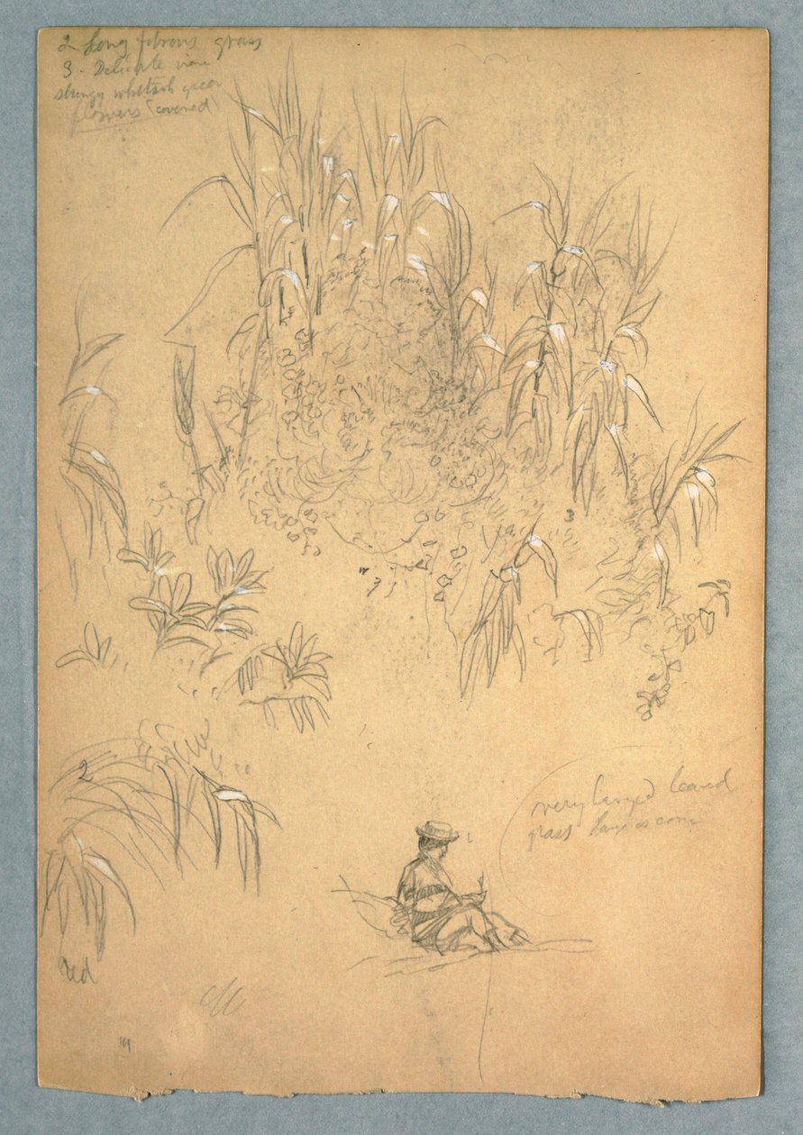 Kresba, Detailní studie sedícího muže a skupiny rostlin, Ekvádor, 1857, pravděpodobně květen od Frederic Edwin Church