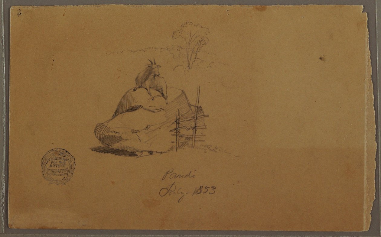 Kresba, Koza v Pandi, Kolumbie, červenec 1853 od Frederic Edwin Church