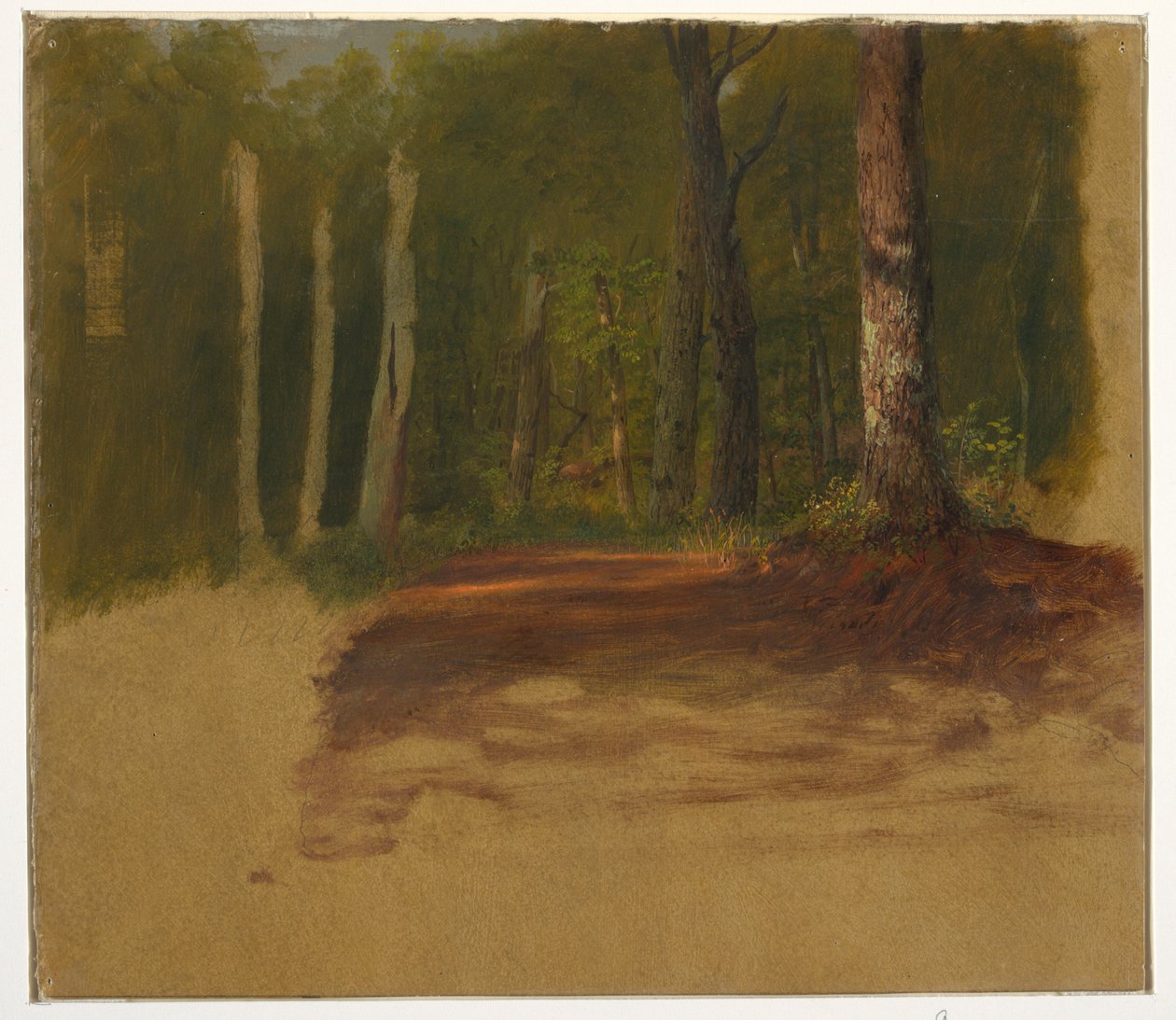 Kresba, Cesta do lesa, 1850-60 od Frederic Edwin Church