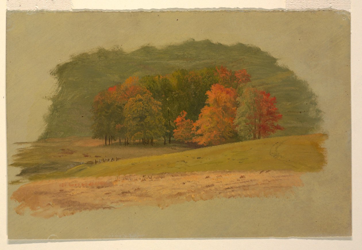 Kresba, Podzimní krajina, 1860-70 od Frederic Edwin Church