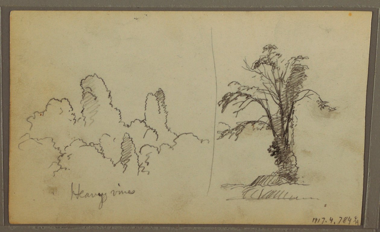 Kresba, Bireds, "Skála v Panamském zálivu"; Verso: "Těžké révy", 15. května 1857 od Frederic Edwin Church