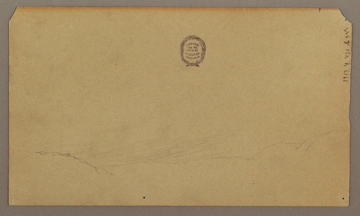 Kresba, botanické skici, srpen 1865 od Frederic Edwin Church