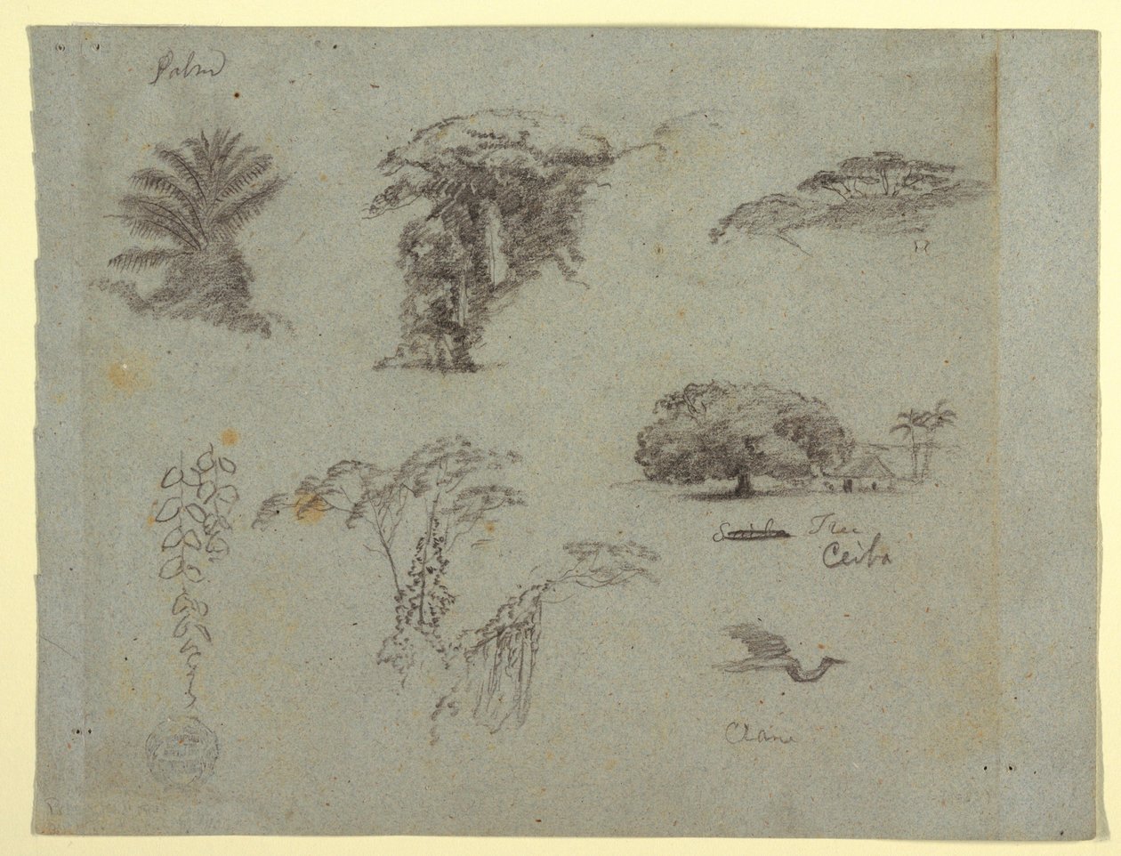 Kresba, Botanické skici z Jižní Ameriky: palma, skupiny stromů, visící větvičky, velký strom vedle domu a létající jeřáb, 1853, pravděpodobně květen. od Frederic Edwin Church