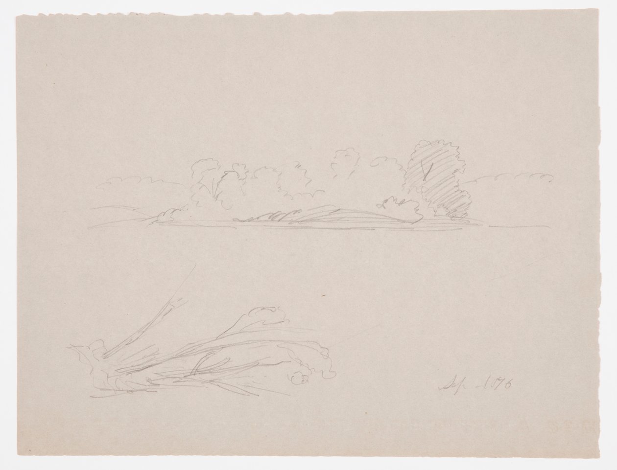 Kresba, Botanické skici: krajina, stromy na pobřeží, září 1876 od Frederic Edwin Church