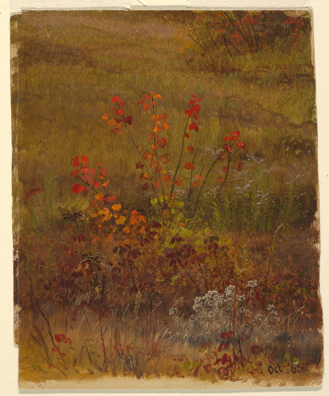 Kresba, botanické studie, říjen 1865 od Frederic Edwin Church