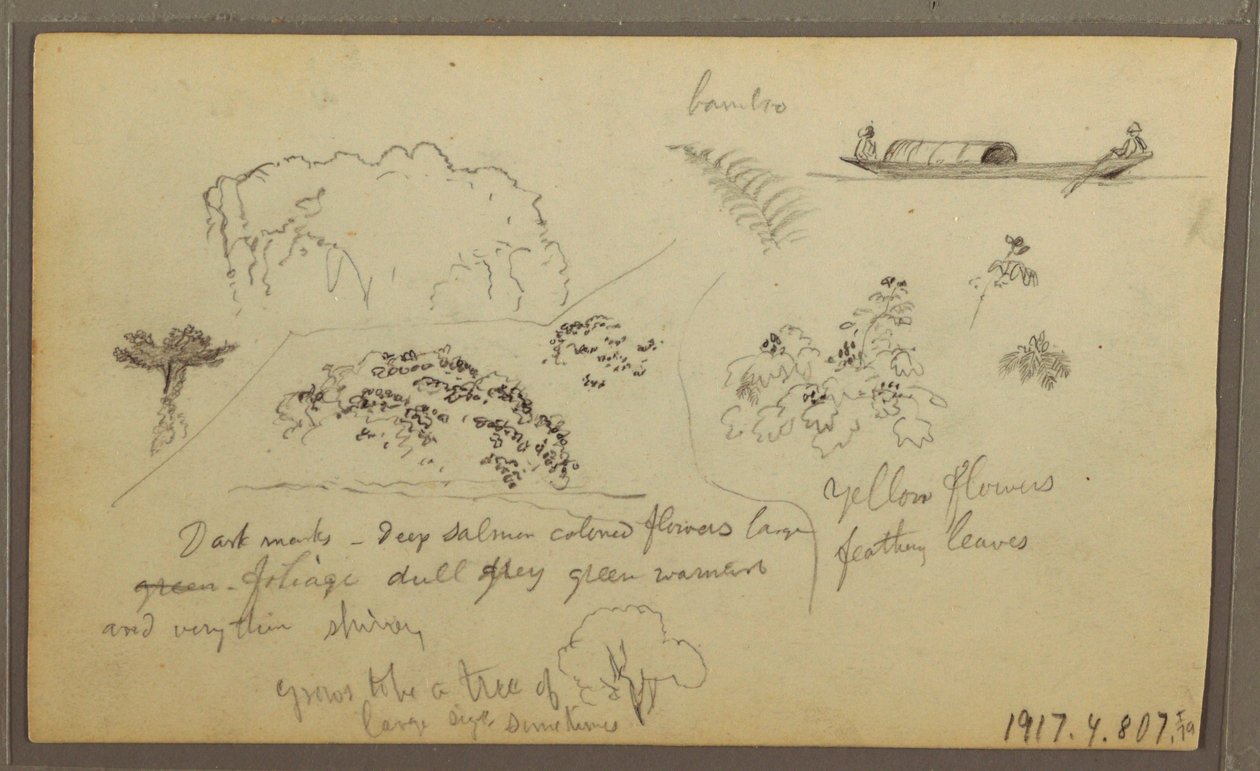 Kresba, kostel, věže; Verso: Postavy v kánoi, botanické skici, 1857 od Frederic Edwin Church