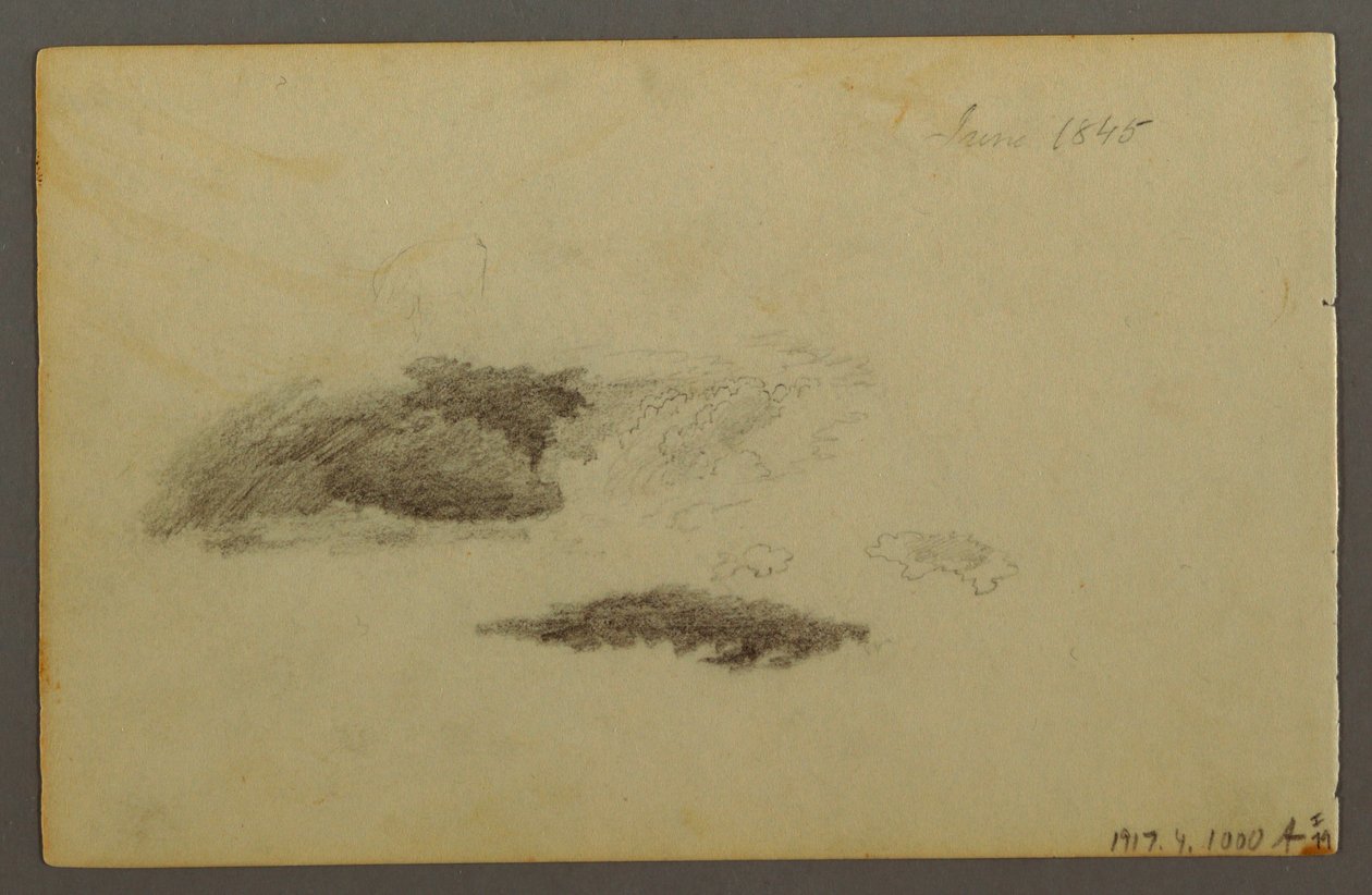 Kresba, Ztrouchnivělá bříza, 1844 od Frederic Edwin Church