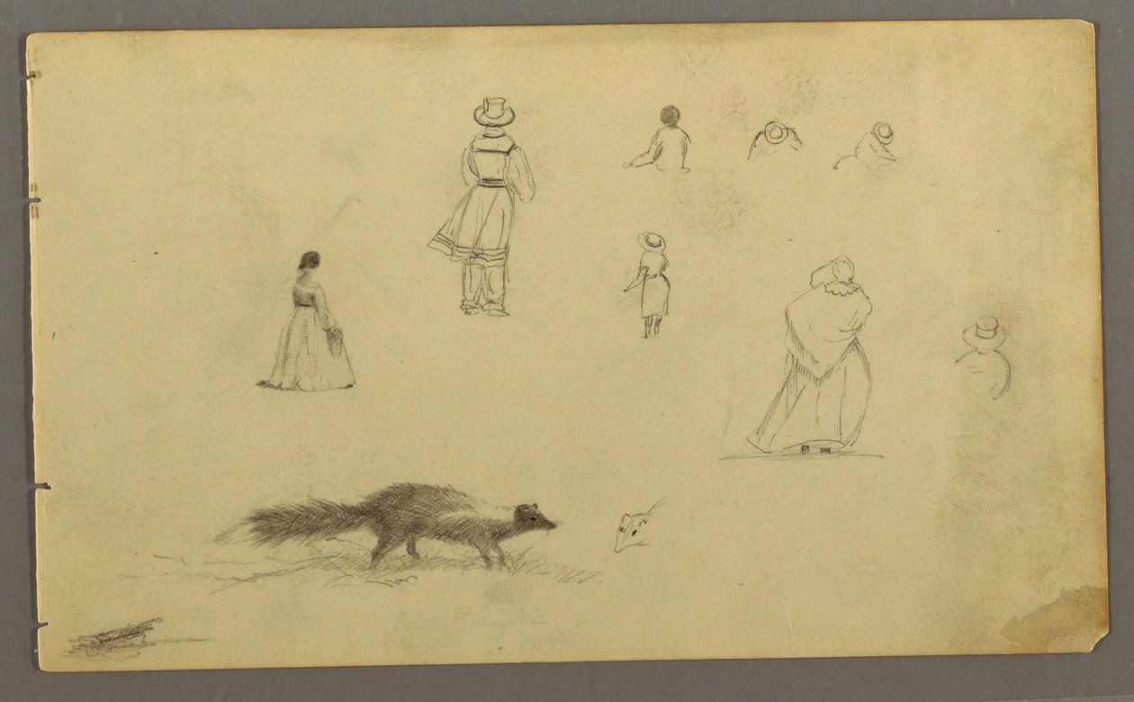 Kresba, Studie postavy zezadu, skunk, pravděpodobně 1857-58 od Frederic Edwin Church