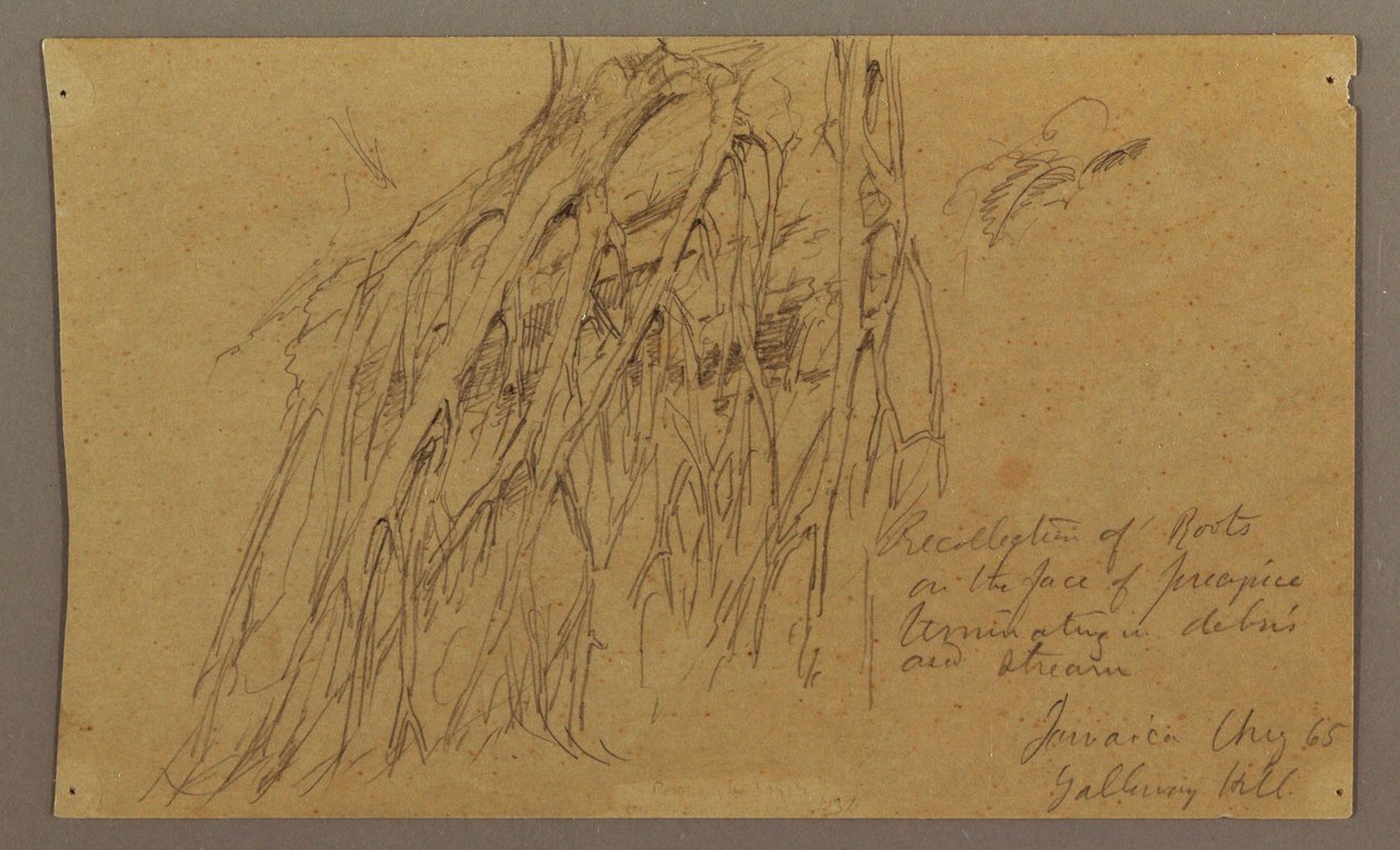 Kresba, Hanging Roots, Galleway Hill, srpen 1865 od Frederic Edwin Church