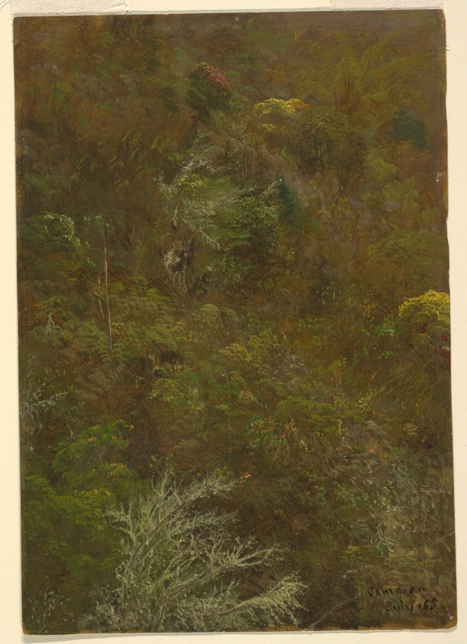 Kresba, Svah pokrytý křovinami  amp; stromy, červenec 1865 od Frederic Edwin Church