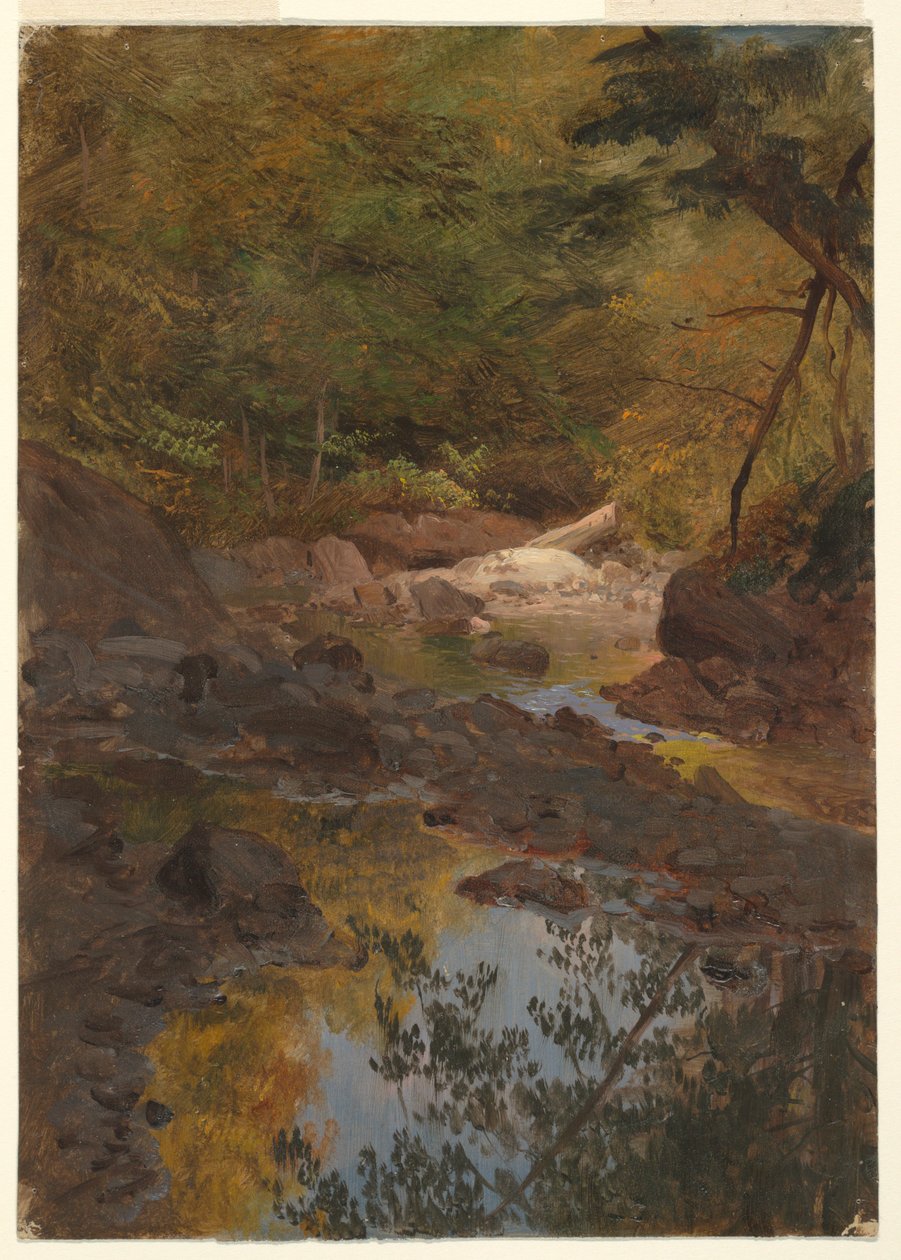 Kresba, V lesích Nové Anglie, 1855-65 od Frederic Edwin Church