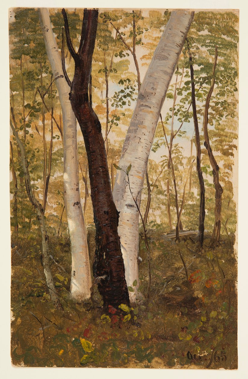 Kresba, V lese, Hudson, New York, říjen 1865 od Frederic Edwin Church