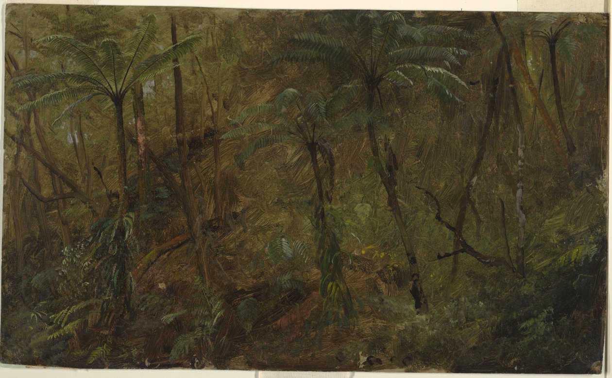 Kresba, V lesích Jamacie, Západní Indie, 1865 od Frederic Edwin Church