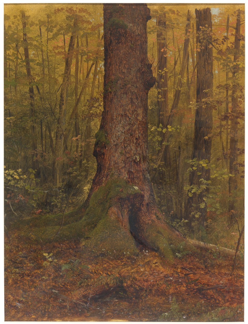 Kresba, V lese, pravděpodobně Maine, 1850-60 od Frederic Edwin Church
