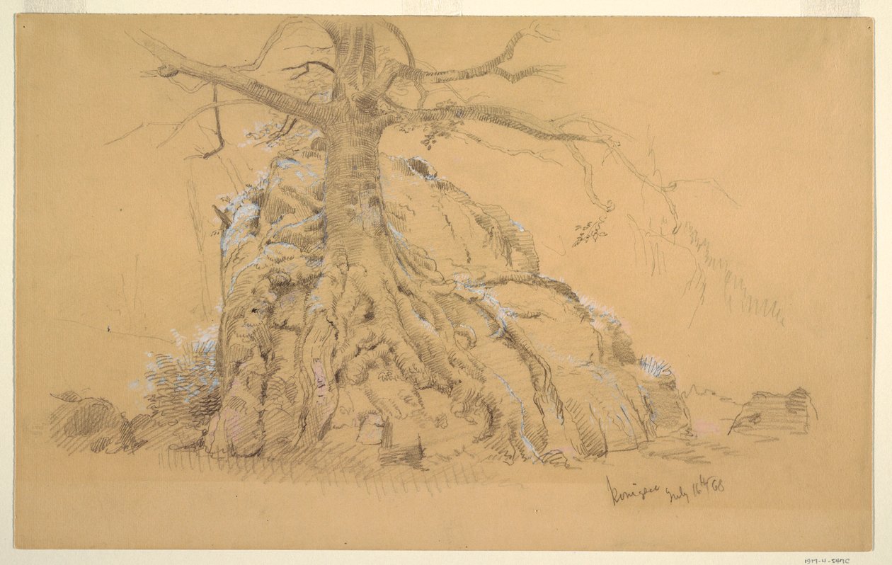 Kresba, Königssee Tree, 16. července 1868 od Frederic Edwin Church