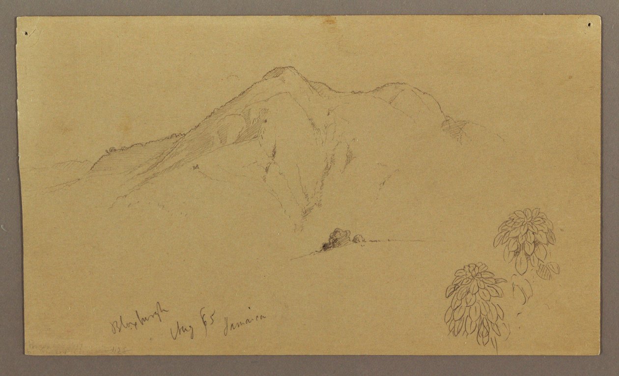 Kresba, Krajina, rostliny, Bloxburgh, srpen 1865 od Frederic Edwin Church