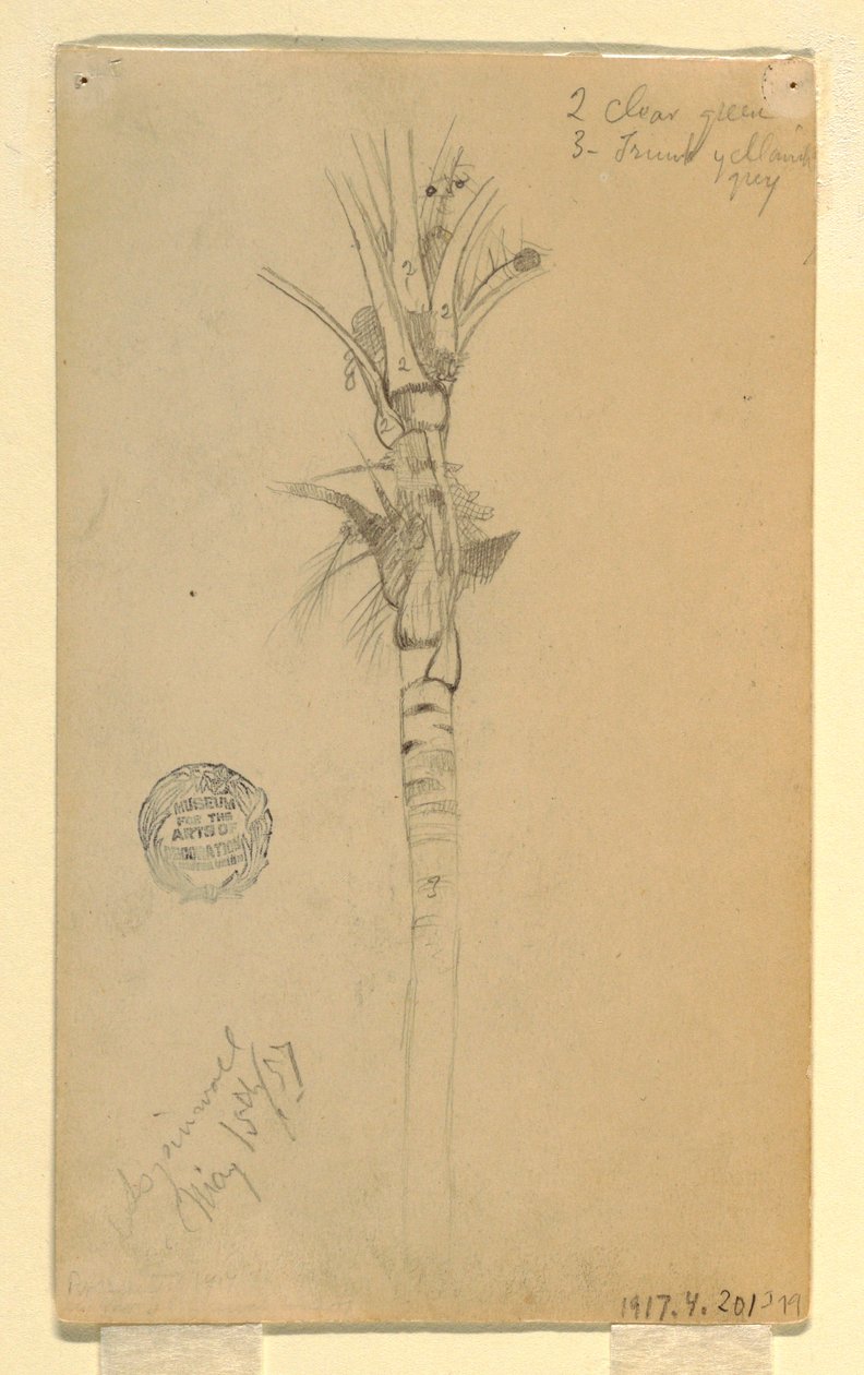 Kresba, Listy a stonek palmy, Aspinwall, Panama, 15. května 1857 od Frederic Edwin Church