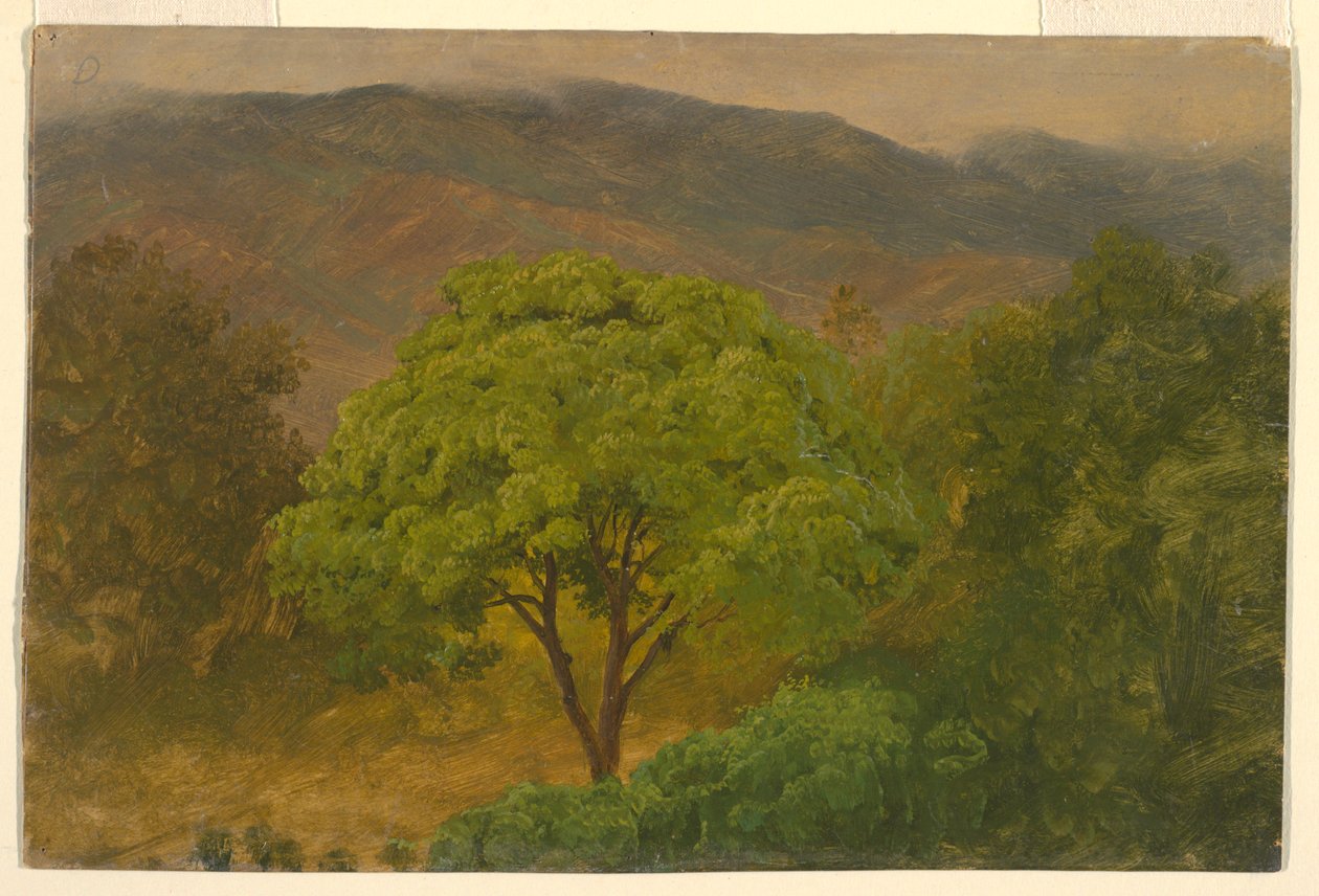 Kresba, Horská krajina, srpen 1865 od Frederic Edwin Church