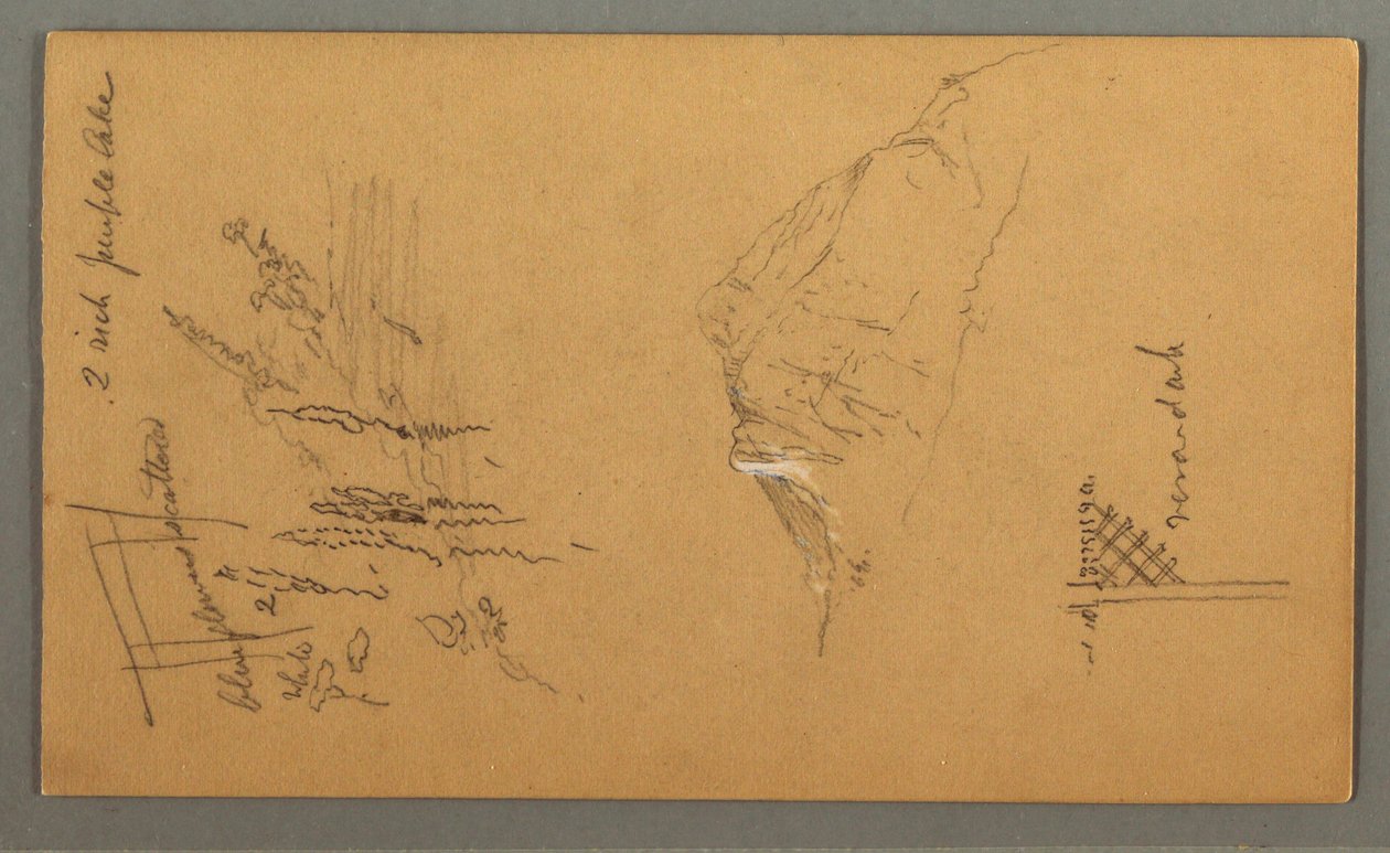 Kresba, Vrchol hory, vegetace u bazénu, 1868 od Frederic Edwin Church