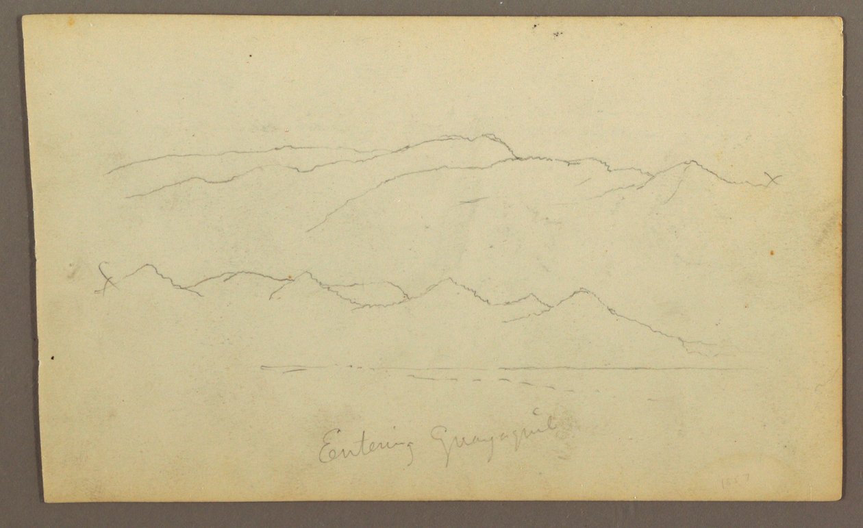 Kresba, horské pásmo "vstupující do Guayaquilu"; Verso: břeh řeky, botanické skici, pravděpodobně 1857 od Frederic Edwin Church