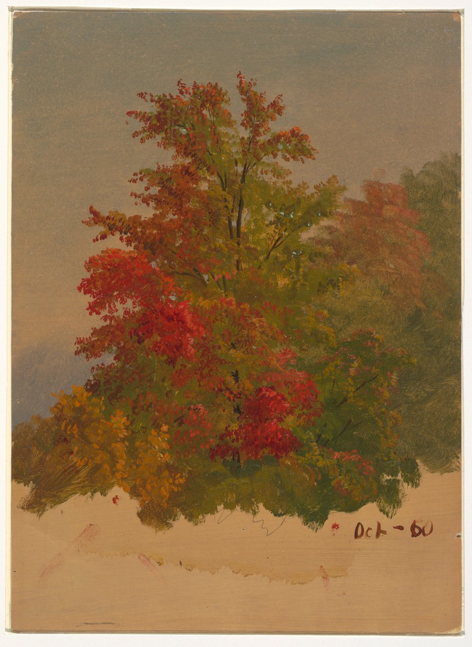 Kresba, Mt. Desert Island , Maine, říjen 1860 od Frederic Edwin Church