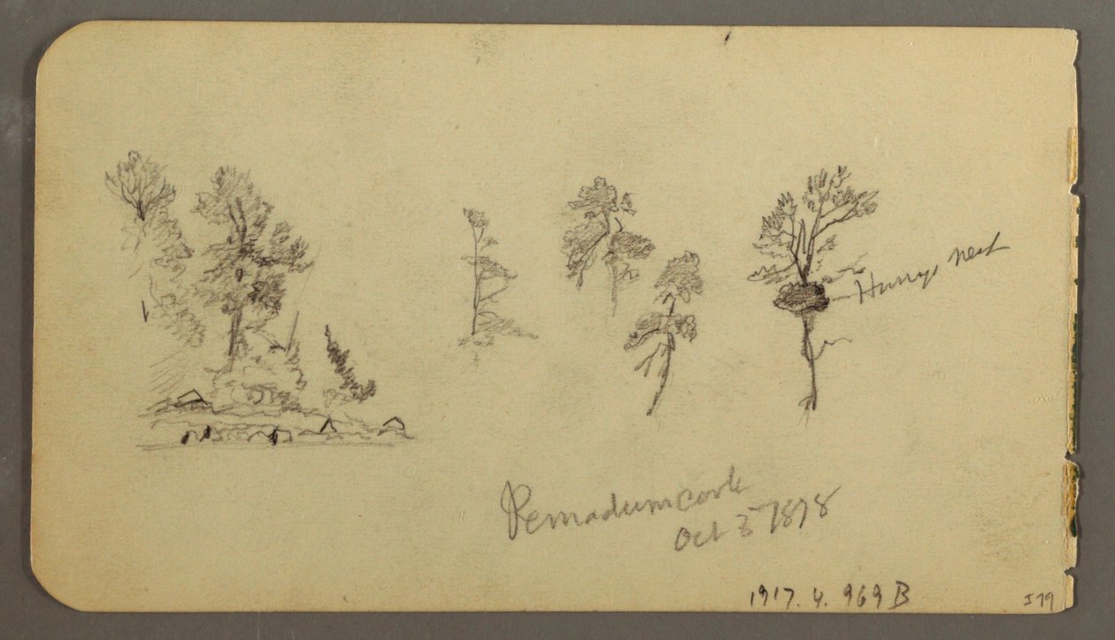 Kresba, Studie borovice, 1878 od Frederic Edwin Church