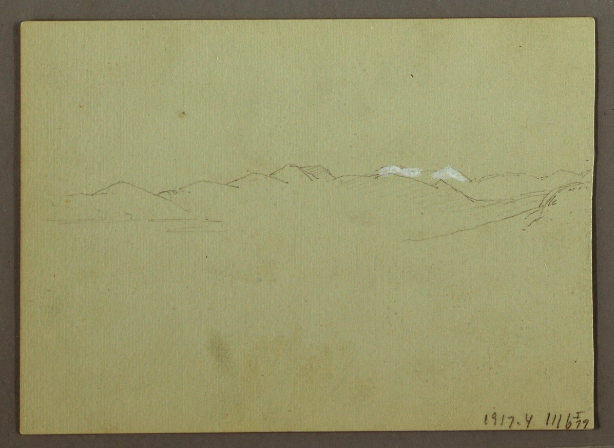 Kresba, studie rostlin a krajiny, 28. dubna 1869 od Frederic Edwin Church