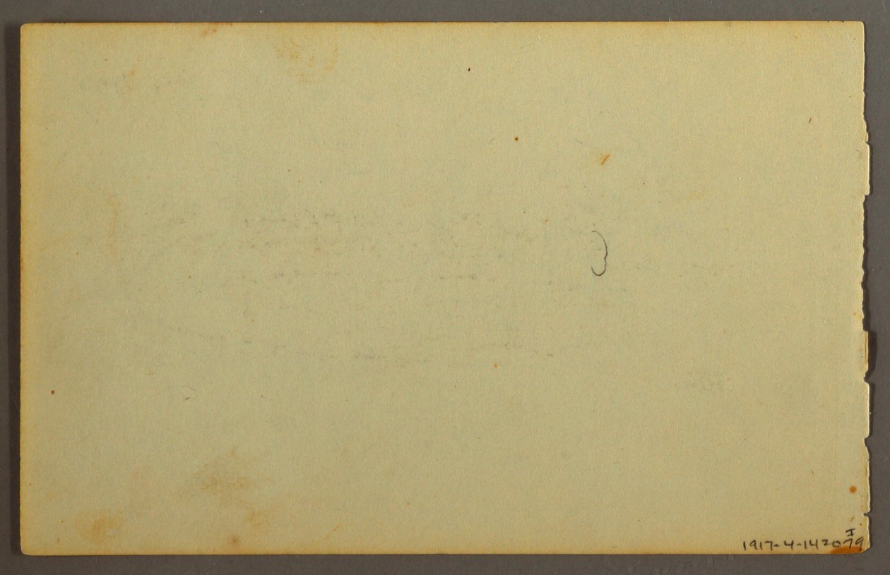 Kresba, studie rostlin, tváře, pravděpodobně 1844 od Frederic Edwin Church