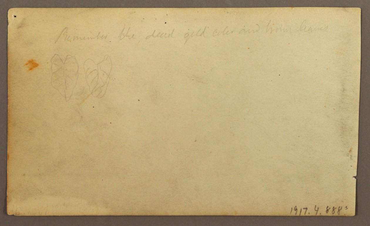 Kresba, Řeka Limona u vesnice, Ekvádor nebo Kolumbie; Verso: Listy, 1857 od Frederic Edwin Church