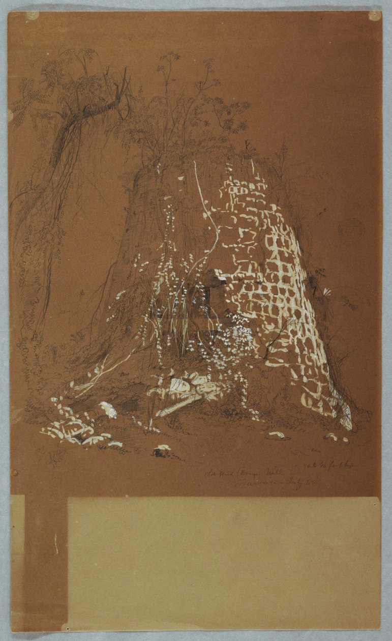 Kresba, zničený starý větrný mlýn, Jamajka, červenec 1865 od Frederic Edwin Church
