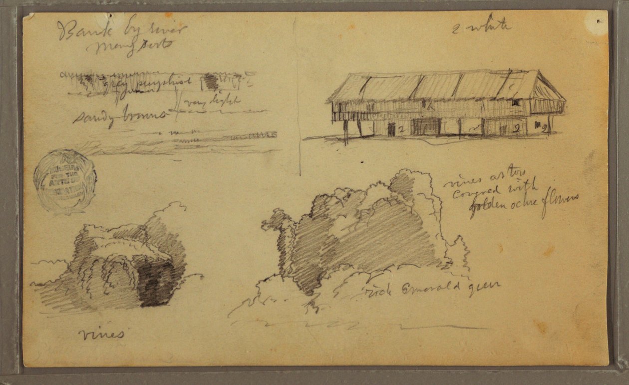 Kresba, Sketches, Ecuador or Colombia; Verso: Sketches, Ecuador or Colombia, 1857 od Frederic Edwin Church